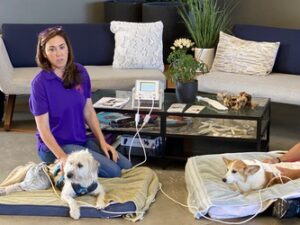 Woman sitting on the floor with two small dogs resting on mats during a pet light therapy session